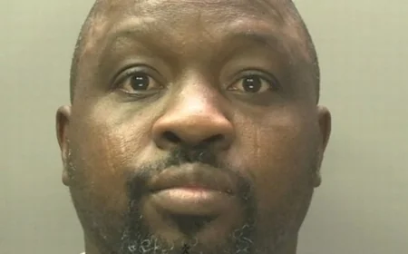 Rapist plied teenager with drink before taking her back to his flat