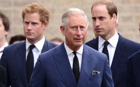King Charles faces impossible decision as he's 'forced to choose between Prince Harry and William'