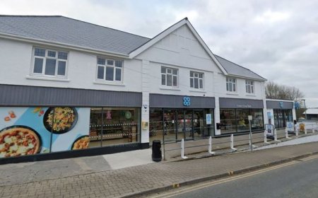 Pensioner caught by police in car chase
