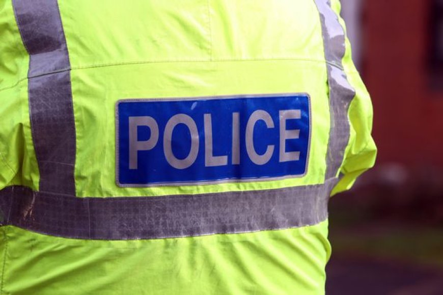 Police detective resigns after 'shocking' assault on man