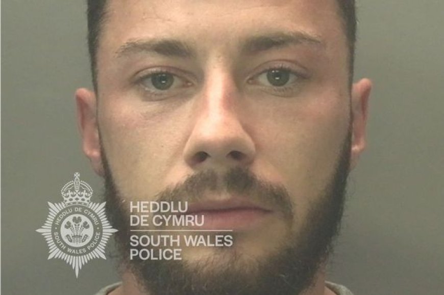 Dad fled house before thug set fire to his car