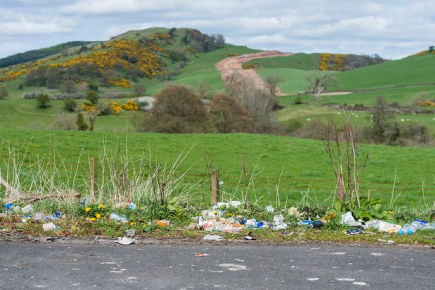 Welsh council got rid of 448 bins and say it's actually been a good thing