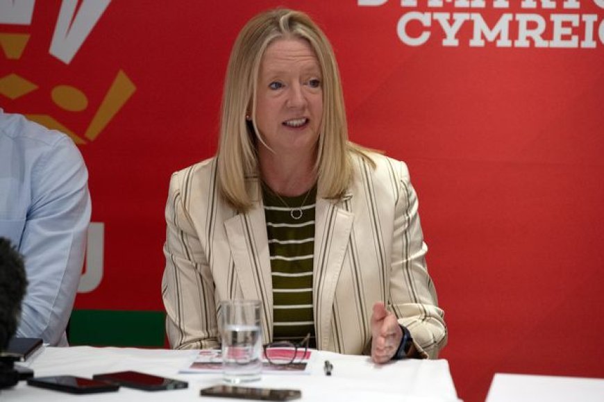 WRU's Abi Tierney asked not to attend key meeting over Ospreys' future