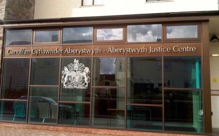 Man fined over out of control goats that keep causing chaos