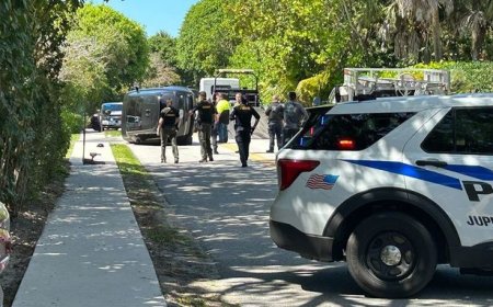 Tiger Woods Involved in Car Crash in Florida
