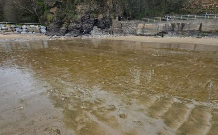 Brown Sludge Covers Popular Saundersfoot Beach Ahead of Easter