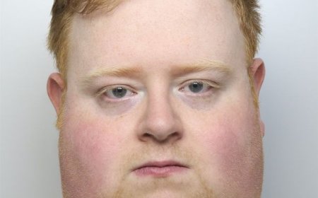 Driver Hit Dog Walker, Saw His Dying Body, Then Drove Off and Complained About Fixing His Car