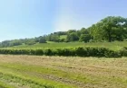 Plans Revealed for Natural Burial Ground Where Bodies Can Decompose Naturally