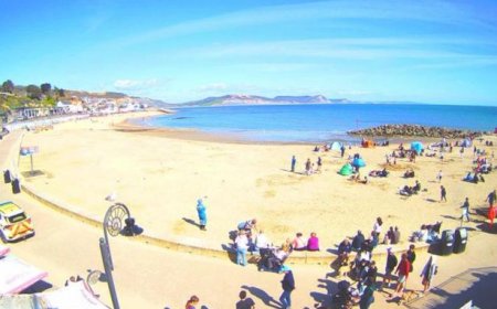 Bomb Squad Called to Popular Beach After ‘Explosive Device’ Found