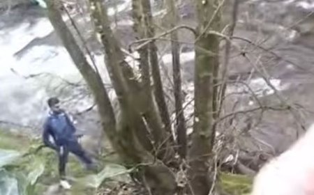 Moment Man Tries to Flee Police Across River Before Quickly Thinking Better of It
