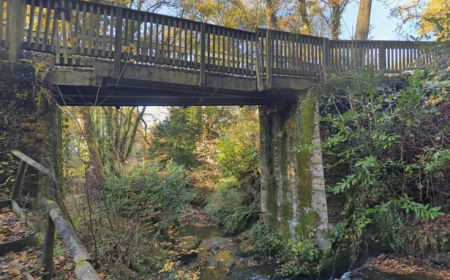 Elderly Man Taken to Hospital After Alleged Assault in Welsh Park