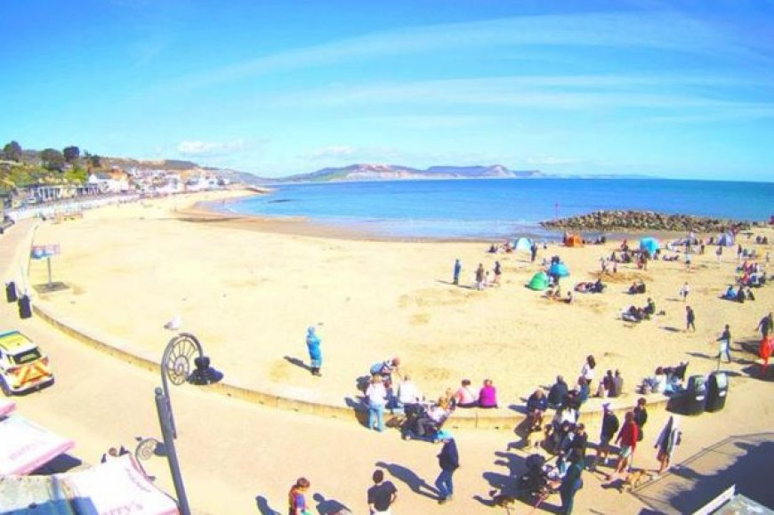 Bomb Squad Called to Popular Beach After ‘Explosive Device’ Found