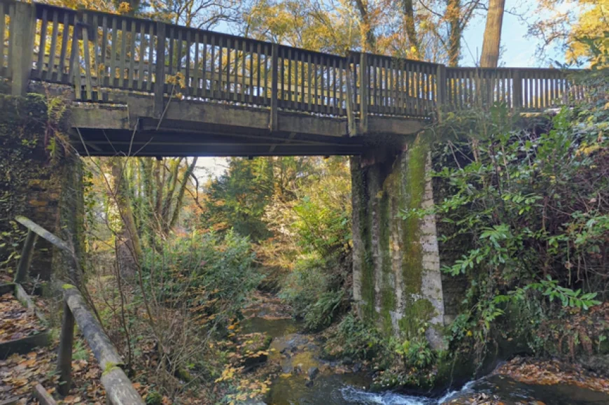 Elderly Man Taken to Hospital After Alleged Assault in Welsh Park